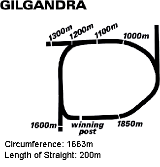 Gilgandra race track supplied by www.auzform.com.au