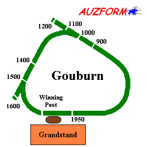 Goulburn race track supplied by www.auzform.com.au