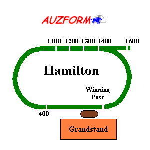 Hamilton race track supplied by www.auzform.com.au