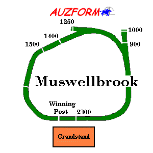 Muswellbrook race track supplied by www.auzform.com.au