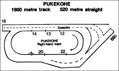 Pukekohe race track supplied by www.auzform.com.au