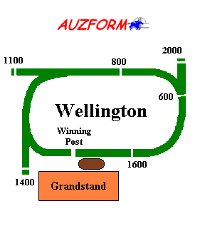 Wellington race track supplied by www.auzform.com.au
