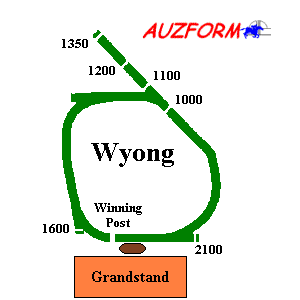 Wyong race track supplied by www.auzform.com.au